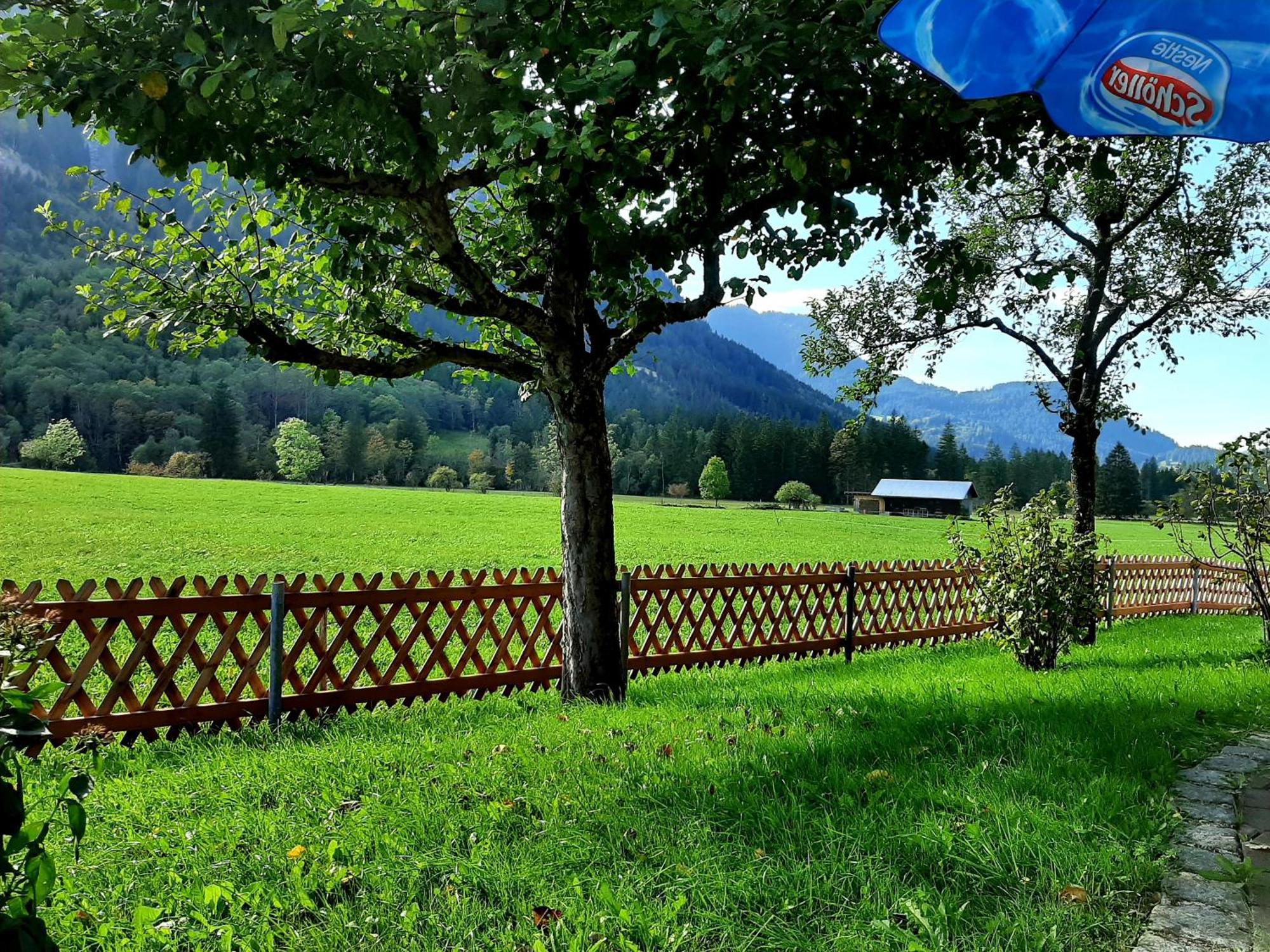 Haus Angelika Daire Bad Hindelang Dış mekan fotoğraf