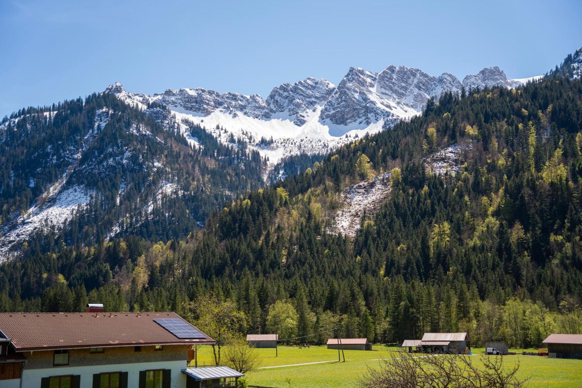 Haus Angelika Daire Bad Hindelang Dış mekan fotoğraf